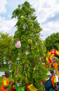 albero-di-natale 45 lista